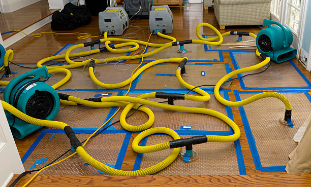 Professional Structural Drying And Dehumidification technician working in Robbins, NC